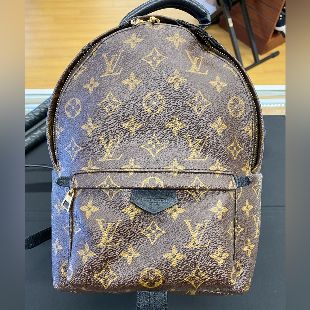 Louis Vuitton Palm Springs PM Monogram Rucksack *Read Description*